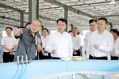 全县“六无乡镇”建设推进会召开
