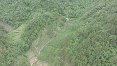 三官洞林区：深挖林下资源 做活大山经济