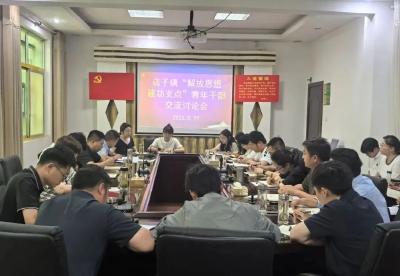 【解放思想 建功支点】店子镇：党建引领聚动能 融合发展建新功