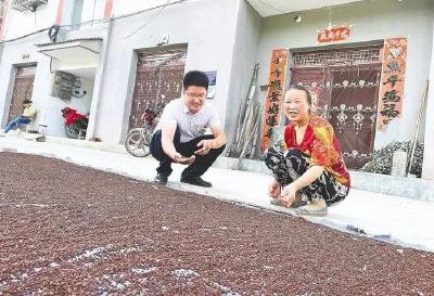 “五味子书记”翁新强：带领乡亲在家门口挣到钱