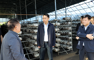 王兵：建强支部战斗堡垒 推进乡村全面振兴
