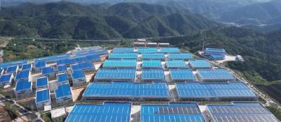 聚力建功支点 推进二次创业•局长谈优化营商环境｜县发改局党组书记、局长张春艳：四措并举 当好“金牌店小二”