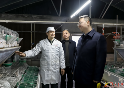 李光锐：巩固拓展脱贫攻坚成果  扎实推进乡村全面振兴