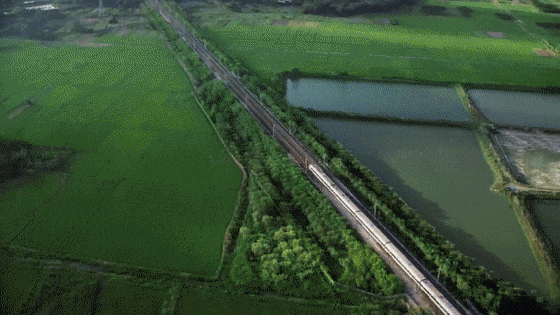 幸福的模样，听听郧西人亲口讲述！ 