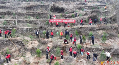 十堰郧西：鄂陕携手汉江植绿 共筑绿色生态家园