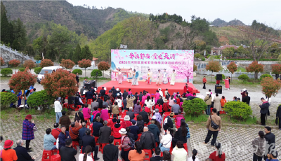 十堰郧西：以“花”为媒 “赏花”经济为消费增添新活力