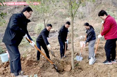 王兵李光锐等县领导参加义务植树活动