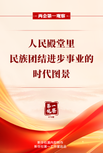 两会第一观察丨人民殿堂里，民族团结进步事业的时代图景