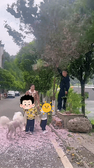 赏花变“伤花”！简直太过分！