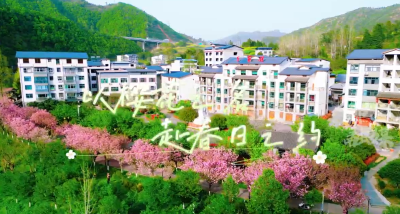 以樱花之名 赴春日之约