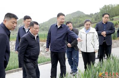 李光锐：提升高标准农田建设质效  不断夯实粮食安全根基