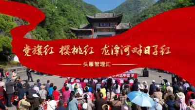 十堰郧西：党旗红，樱桃红，龙潭河畔日子红