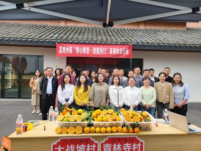 宜都“电商第一村”是怎样炼成的？