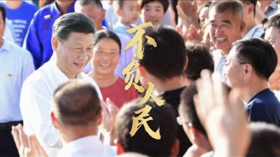 时政微视频丨不负人民