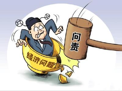 湖北荆州：政府采纳审计建议 加强财政资金出借管理