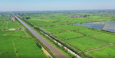 湖北荆州：多措并举 精准施策 调水抗旱保丰收