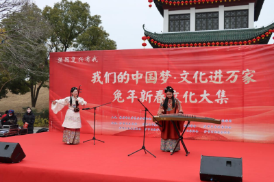 沙市区举办“我们的中国梦·文化进万家”兔年新春文化大集活动