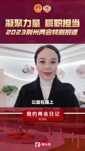 我的两会日记：市人大代表——吴丽丽