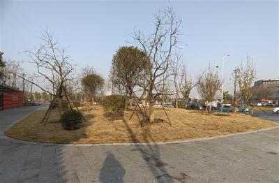 网络中国节·春节｜荆州这里新增一座“口袋公园”