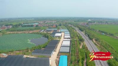 千里江陵一日还丨花样年华熊彭村