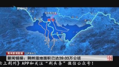 新闻链接：荆州湿地面积已达39.03万公顷