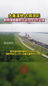 大美湿地 古城添彩丨荆州湿地面积已达39.03万公顷