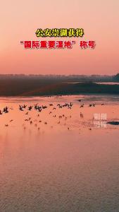 公安崇湖获得“国际重要湿地”称号
