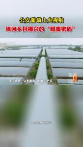 V视丨公安葡萄上央视啦！