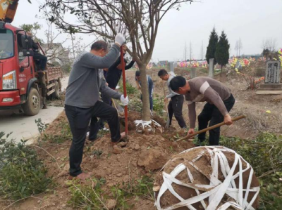 美好生活 共同缔造丨点赞！杨井村村民捐献135棵树，价值4万元！