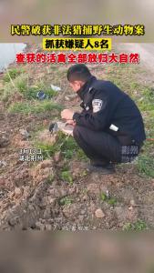 荆州：民警破获非法猎捕野生动物案