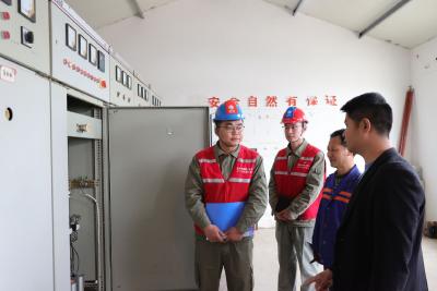 荆州区供电公司：电力供应稳定 恒温孵化率高