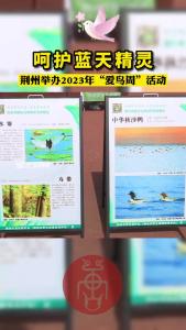 荆州举办2023年“爱鸟周”活动