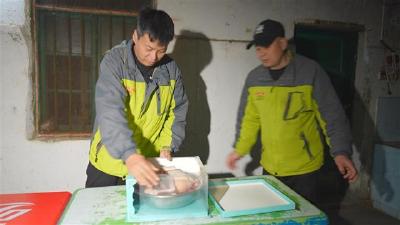 荆州市中山公园虎狮虎兽“荆荆”迎来三岁生日