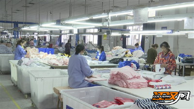 “智”造赋能“织”造，荆州纺织服装产业迈向金色未来