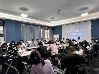 变触动为行动 沙市区全面推进文旅体产业高质量发展 