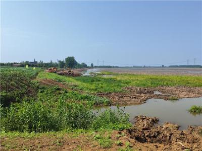 荆州区：全力打造“平原区域江河湖湿地群保护修复新样板”