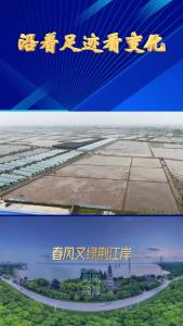 沿着足迹看变化·春风又绿荆江岸丨智慧农业 夯实监利产粮大市底盘