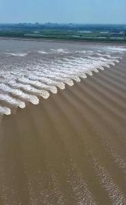 罕见自然奇观！钱塘江鱼鳞潮和交叉潮同时出现