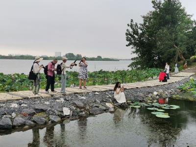 镜头记录美丽瞬间  江汉风客户端“圈子”分享如画风景