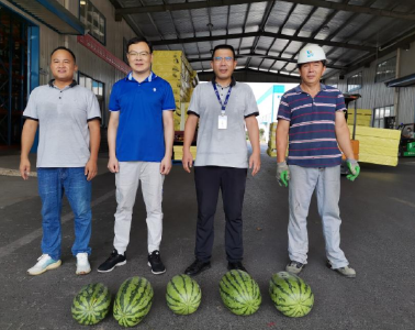 新时代文明实践|“花式”送清凉，团结战高温