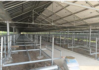 荆州区紫荆光伏园湖羊养殖基地一期项目初具雏形