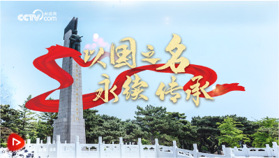 强军之路丨以国之名 永续传承