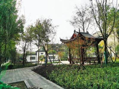 荆州中心城区建成116处口袋公园 百万市民推窗见绿