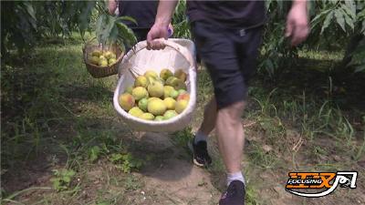 荆州年产新鲜水果50万吨 闯出增收致富新路子