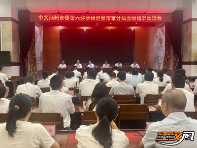 荆州市委第六巡察组向荆州市审计局党组反馈巡察情况