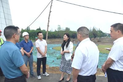 万玲玲带队调研荆州区、荆州高新区产业项目、山水项目