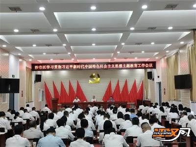 沙市区召开学习贯彻习近平新时代中国特色社会主义思想主题教育工作会议