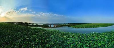 来自荆州公安崇湖的呼唤——天性、野性、灵性和谐共生