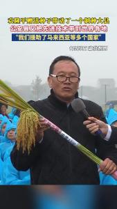 袁隆平赠送种子带动了一个制种大县 公安县又把先进技术带到世界各地