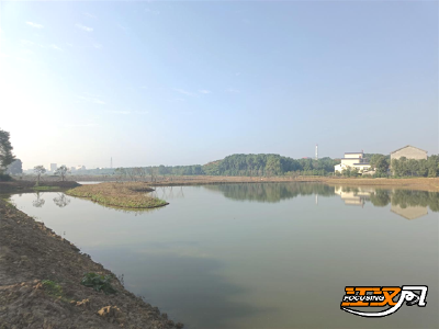荆州区川店镇：建好乡村湿地公园 绘就山水生态画卷